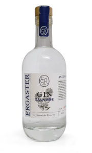 Ergaster Ascendance Gin